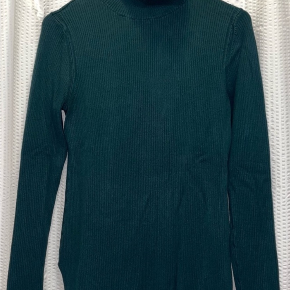 Ellen Tracy Green Ribbed Knit Turtleneck Sweater